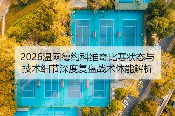 2026温网德约科维奇比赛状态与技术细节深度复盘战术体能解析